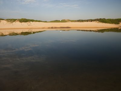 Curl Curl Lagoon - all day every day dog off leash swimming